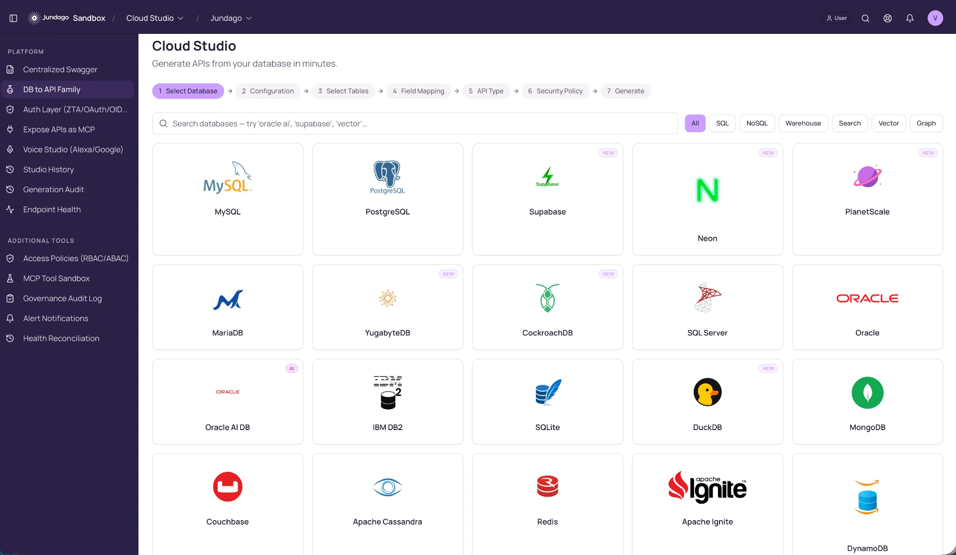 Jundago API Studio product screen