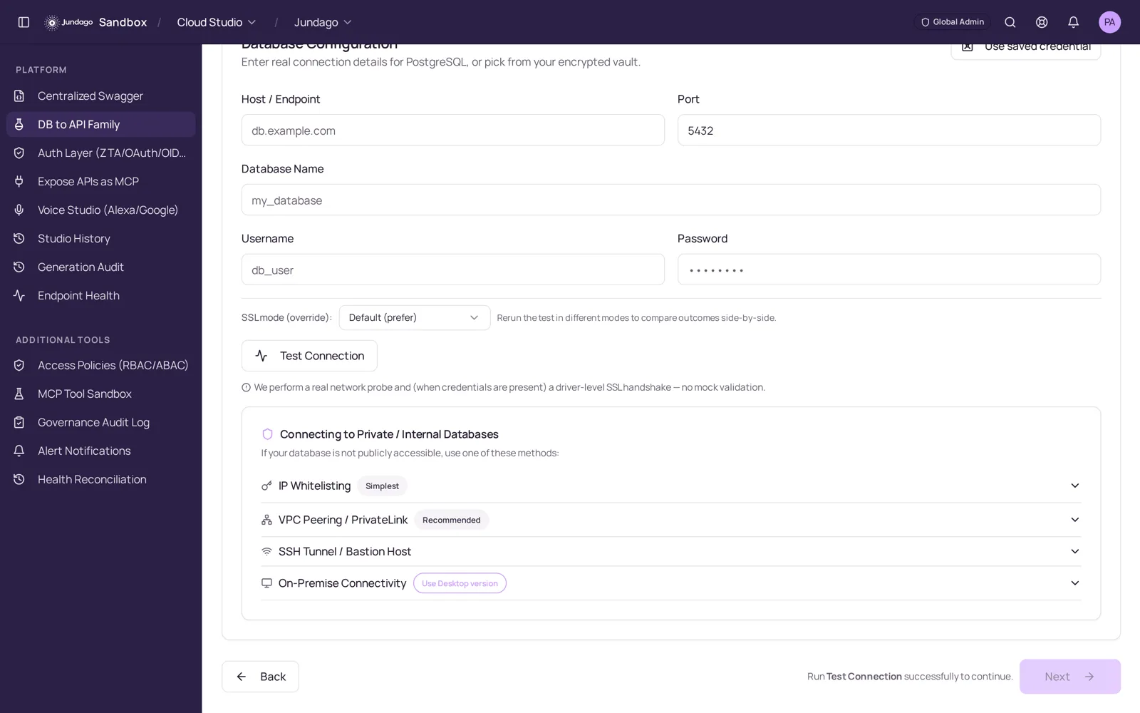 Jundago API Studio database configuration step with connection test and private connectivity options